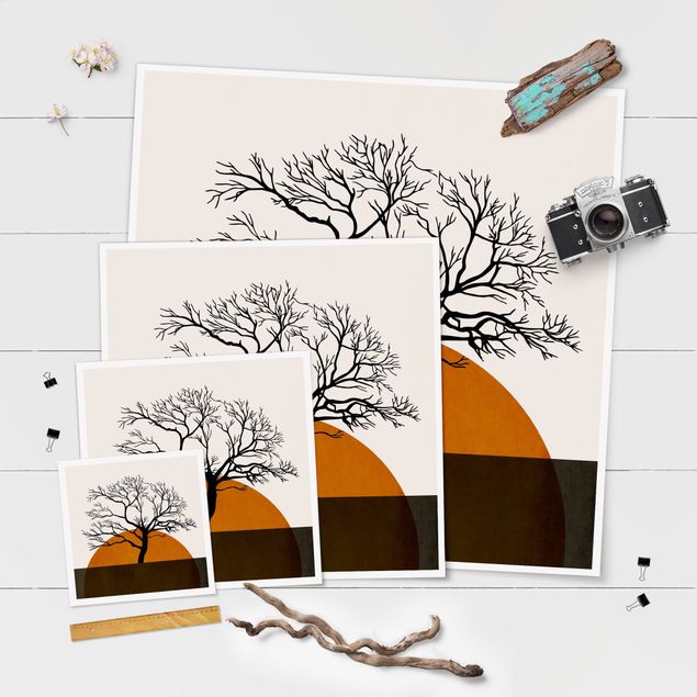 Obrazy Słońce z drzewem