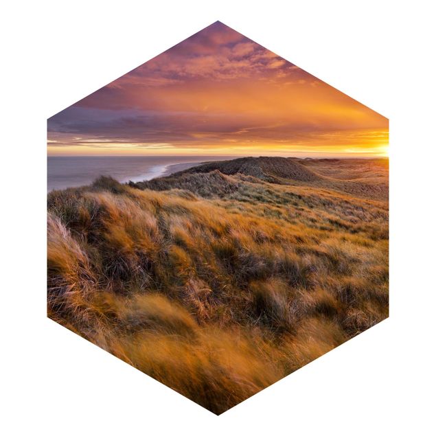 Fototapety 3d krajobrazy Wschód słońca na plaży na Sylcie