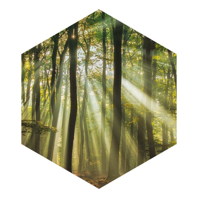 Sześciokątna tapeta samoprzylepna - Słoneczny dzień w lesie