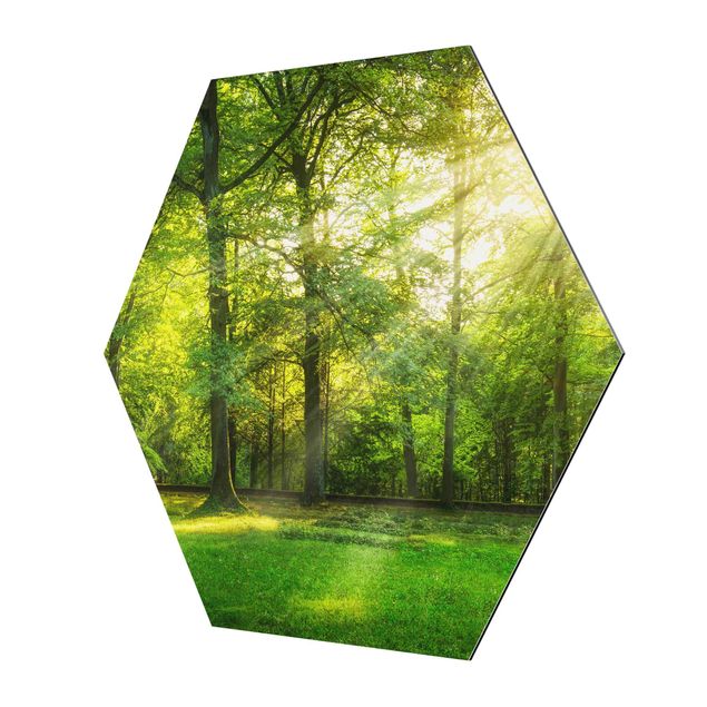 Zielony obraz Spacer po lesie