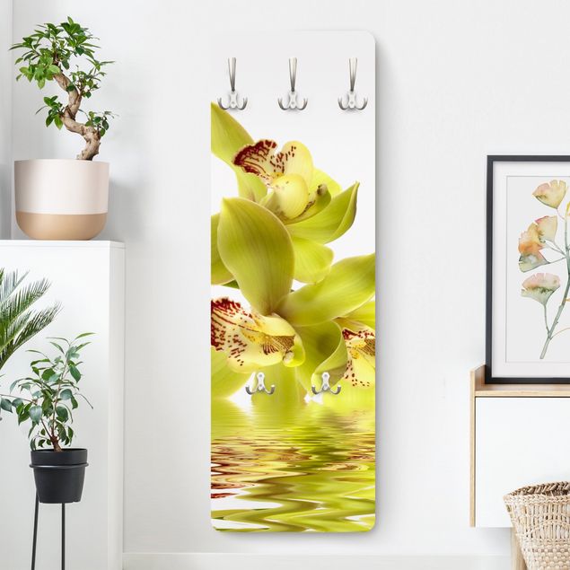 Garderoba Wspaniałe wody orchidei