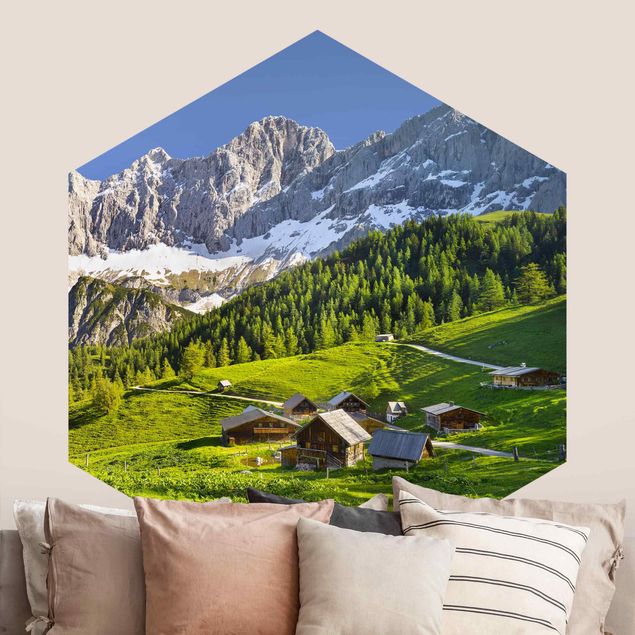 Fototapeta góry Styria Alpejska łąka