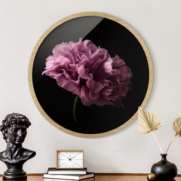 Nowoczesne obrazy Proud Peony In Front Of Black