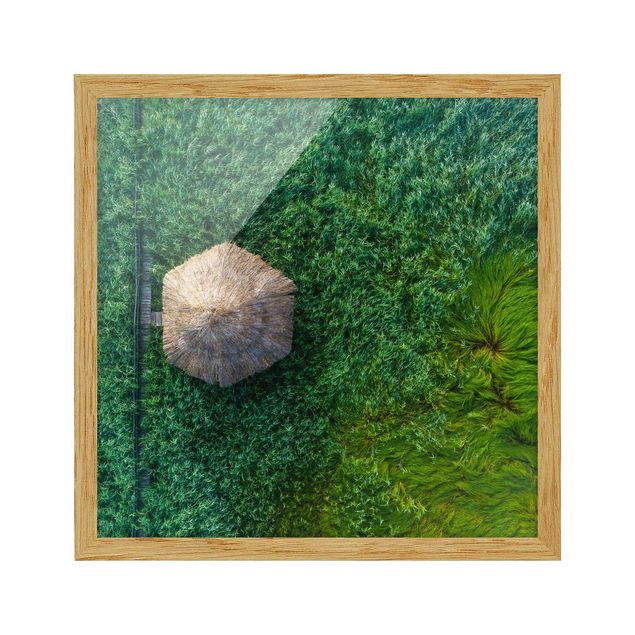 Obrazy w ramie do łazienki słomiana chatka w wysokich trzcinach