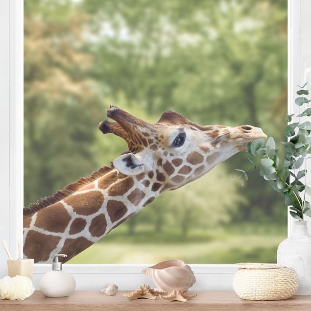Folia okienna dla dzieci Szukająca żyrafa