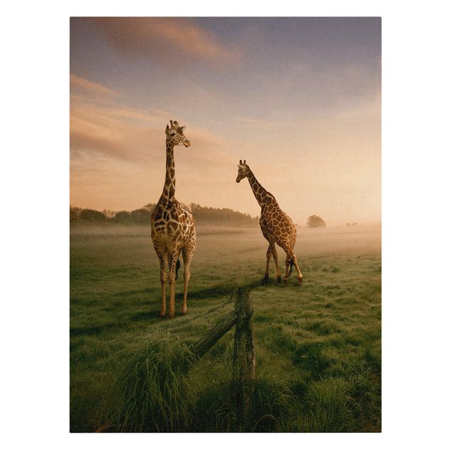 Obrazy ze zwierzętami Surrealistyczne żyrafy