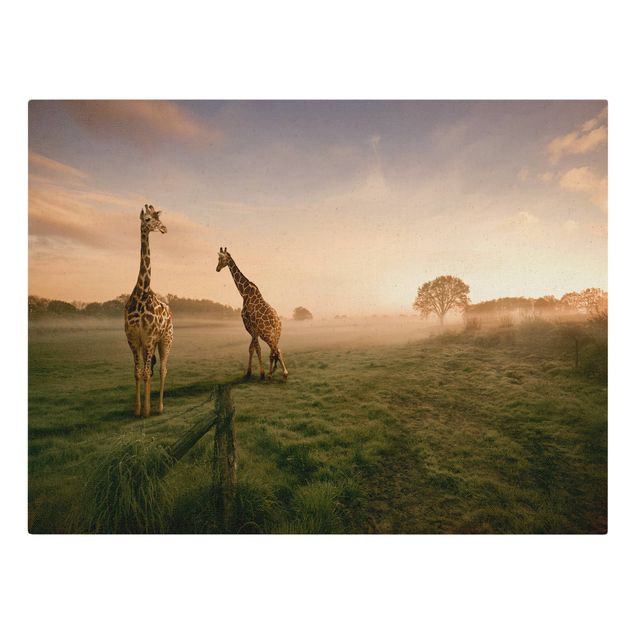 Obrazy ze zwierzętami Surrealistyczne żyrafy