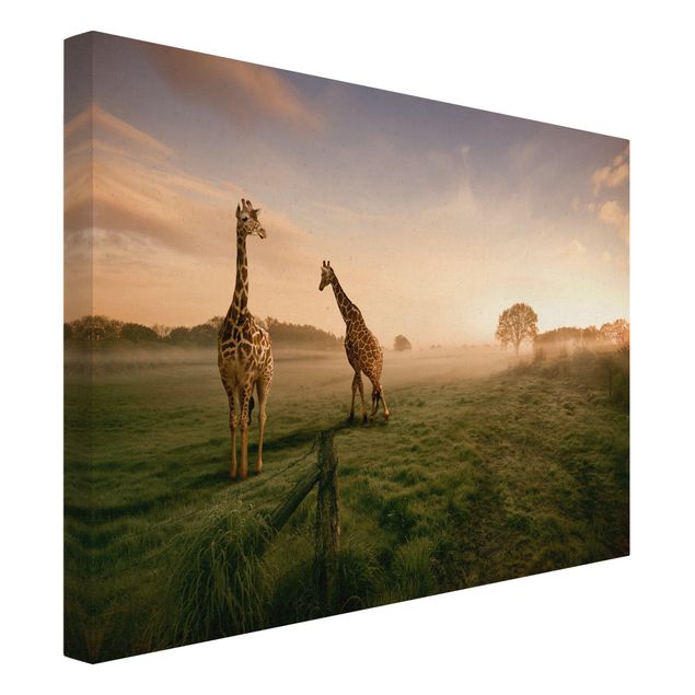 Obrazy żyrafa Surrealistyczne żyrafy
