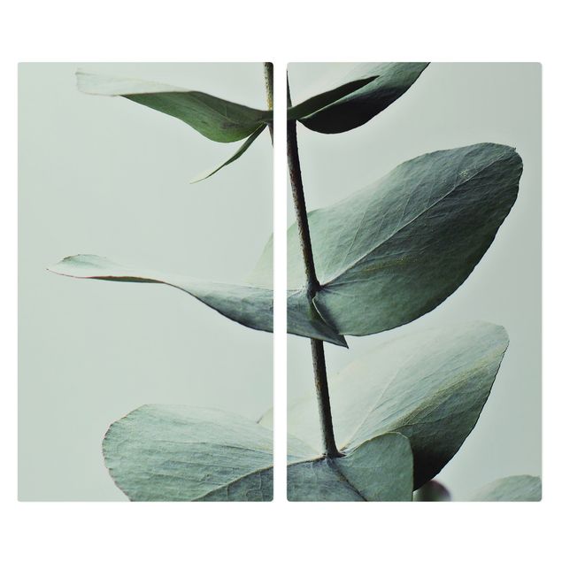 Pokrywa kuchenki - Symetryczna gałązka eukaliptusa