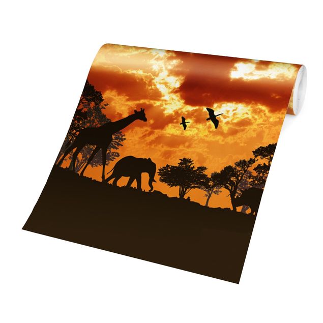 żyrafa tapeta Zachód słońca w Tanzanii