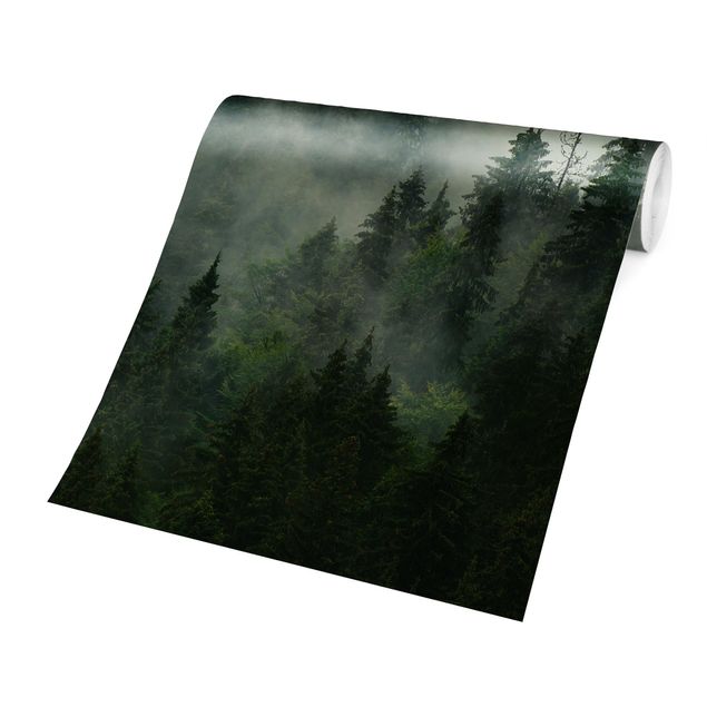 Fototapeta Deep Green Fir Forest In The Fog