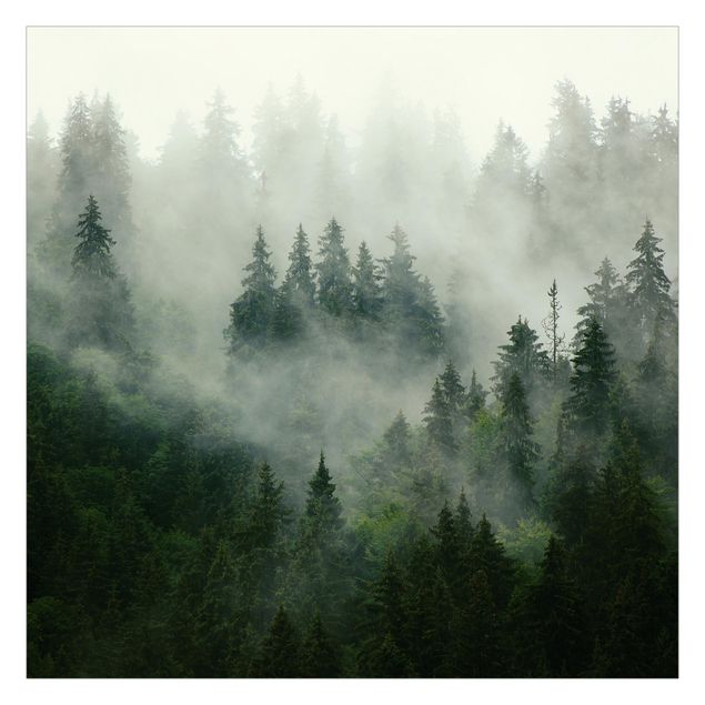 Fototapeta - Deep Green Fir Forest In The Fog