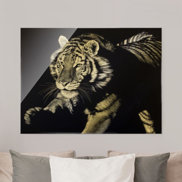 Obraz na szkle - Tygrys w świetle słonecznym na tle czarnego nieba