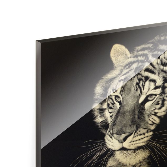 Obraz na szkle - Tygrys w świetle słonecznym na tle czarnego nieba