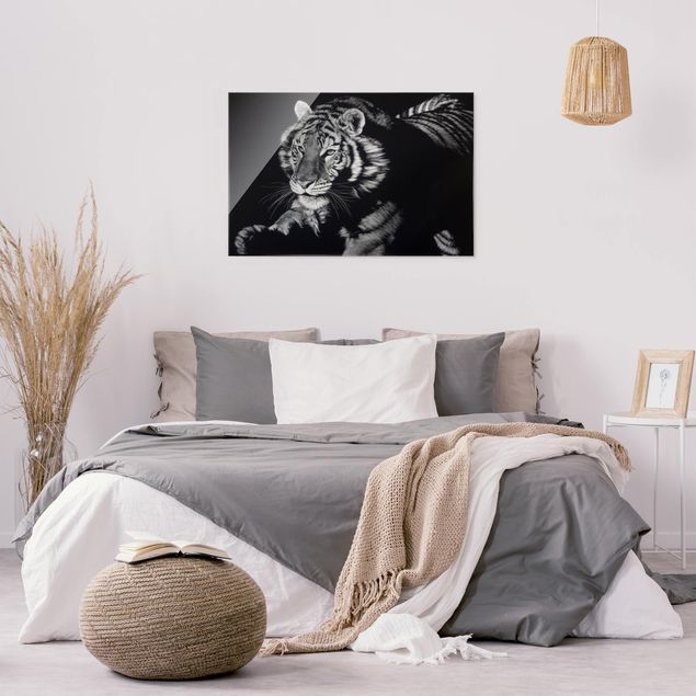 Obrazy do salonu Tygrys w świetle słonecznym na tle czarnego nieba