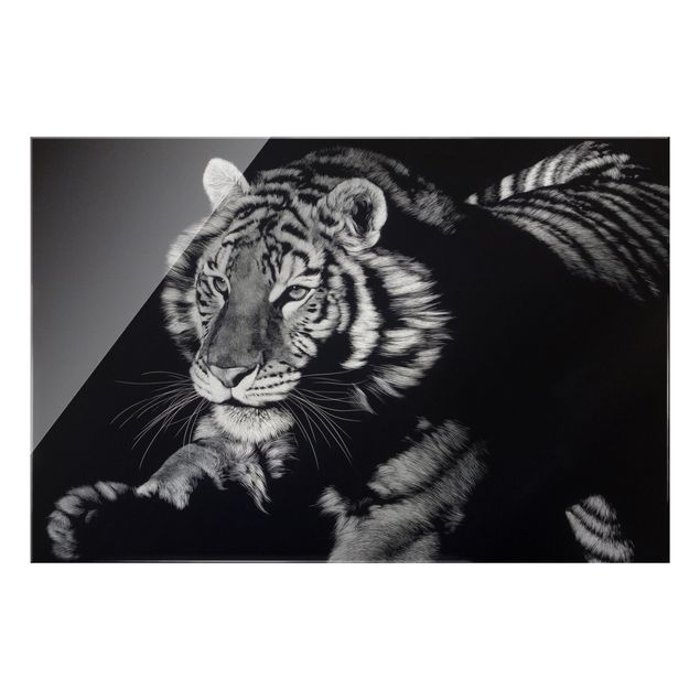 Obrazy na szkle zwierzęta Tygrys w świetle słonecznym na tle czarnego nieba
