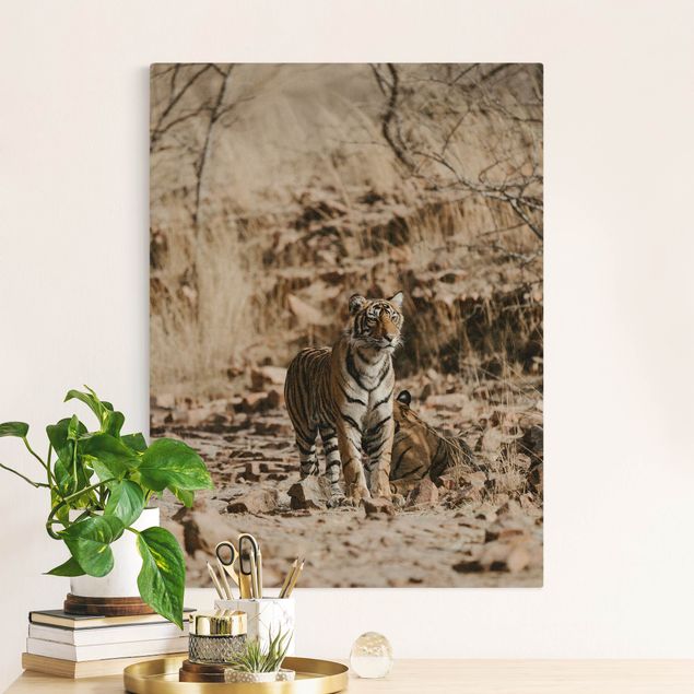 Obrazy nowoczesne Tygrys w środowisku naturalnym