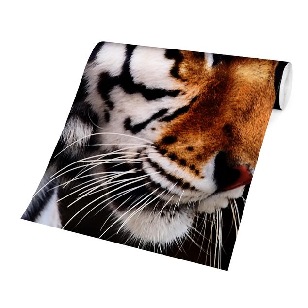 Tapety zwierzęta Tiger Beauty
