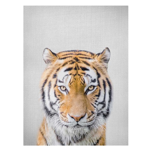 Tygrys obraz Tiger Tiago