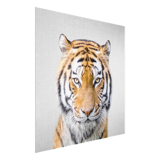 Obrazy tygrys Tiger Tiago