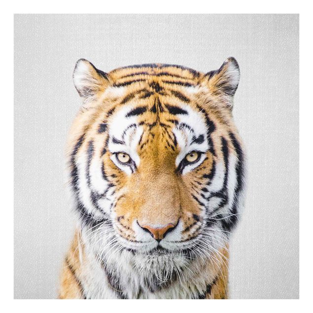Obrazy na szkle zwierzęta Tiger Tiago
