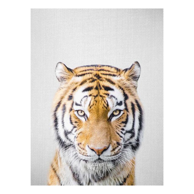 Obrazy na szkle zwierzęta Tiger Tiago