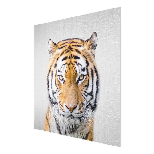 Obrazy nowoczesny Tiger Tiago