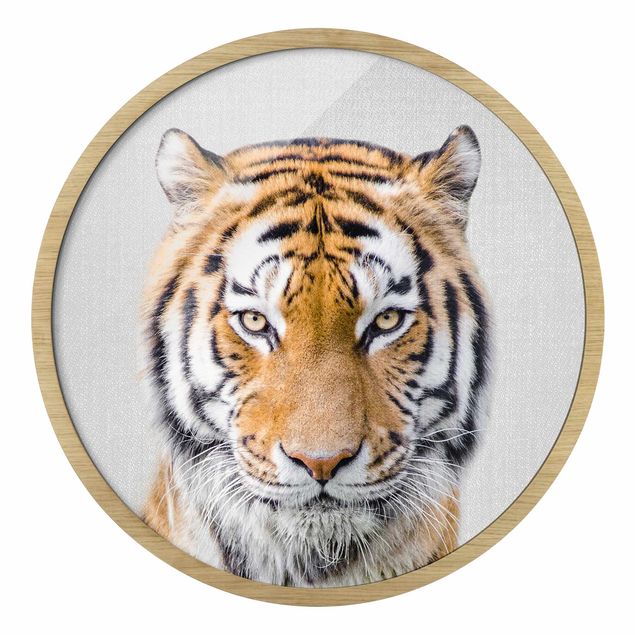 Obrazy tygrys Tygrys Tiago