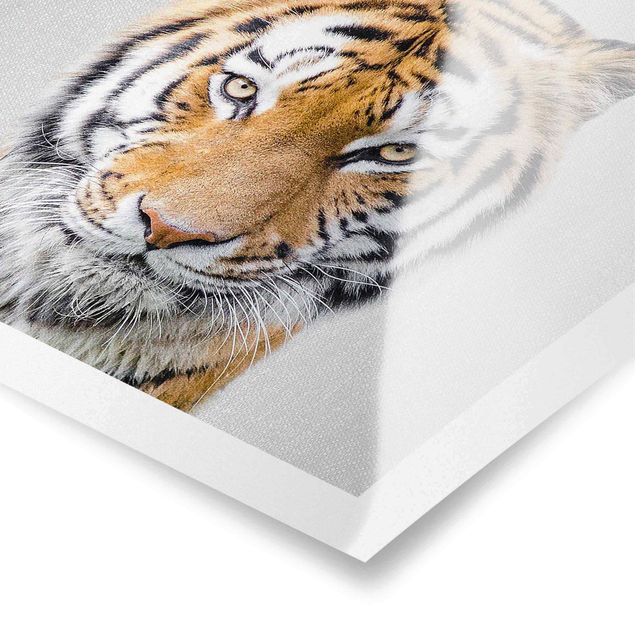 Czarno białe obrazy Tiger Tiago