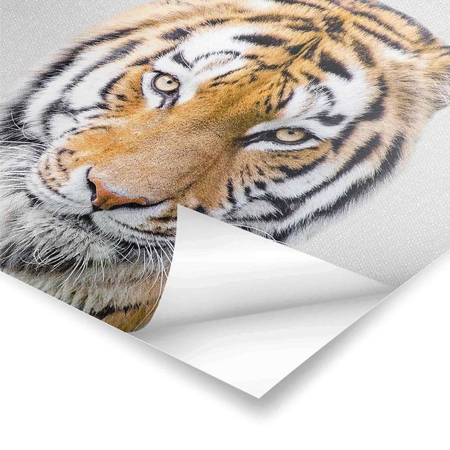 Plakaty czarno białe Tiger Tiago