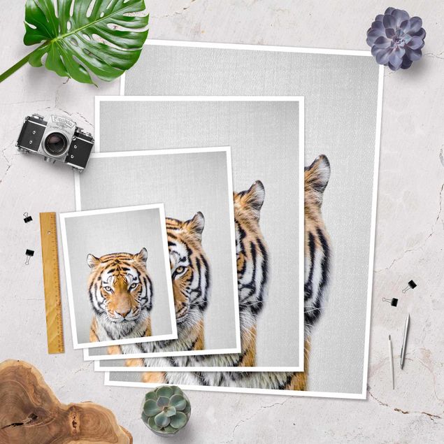 Obrazy na ścianę Tiger Tiago