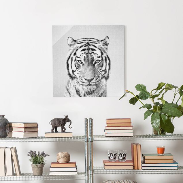 Obrazy na szkle kwadrat Tiger Tiago Black And White