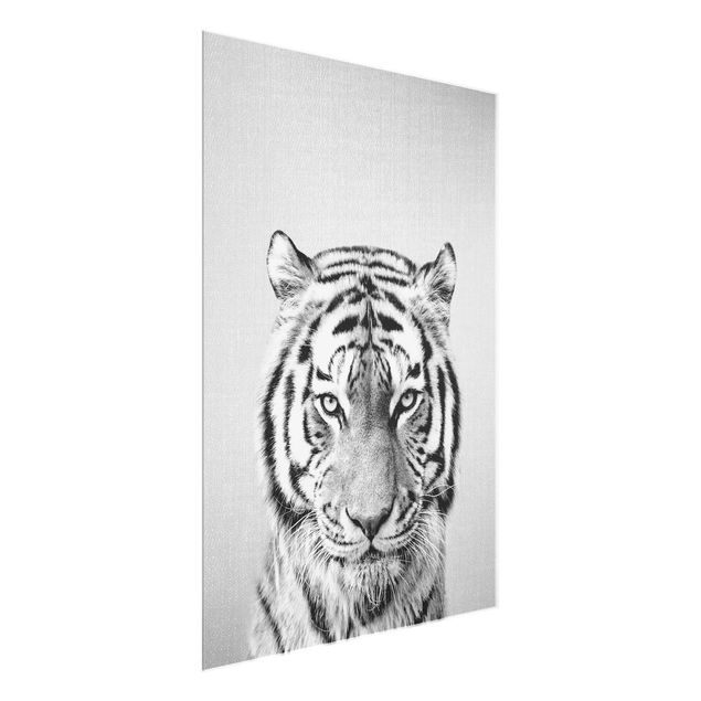 Tygrys obraz Tiger Tiago Black And White