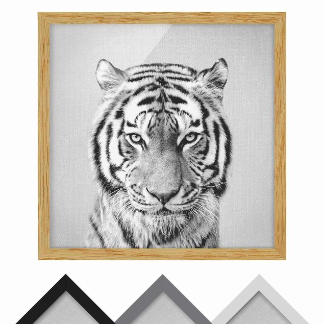 Obrazy nowoczesny Tiger Tiago Black And White