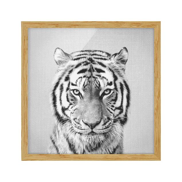 Obrazy w ramie zwierzęta Tiger Tiago Black And White