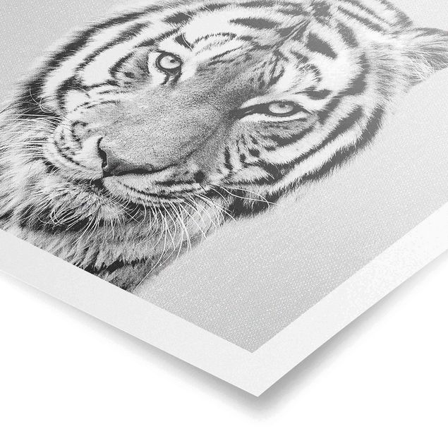Obraz z tygrysem Tiger Tiago Black And White
