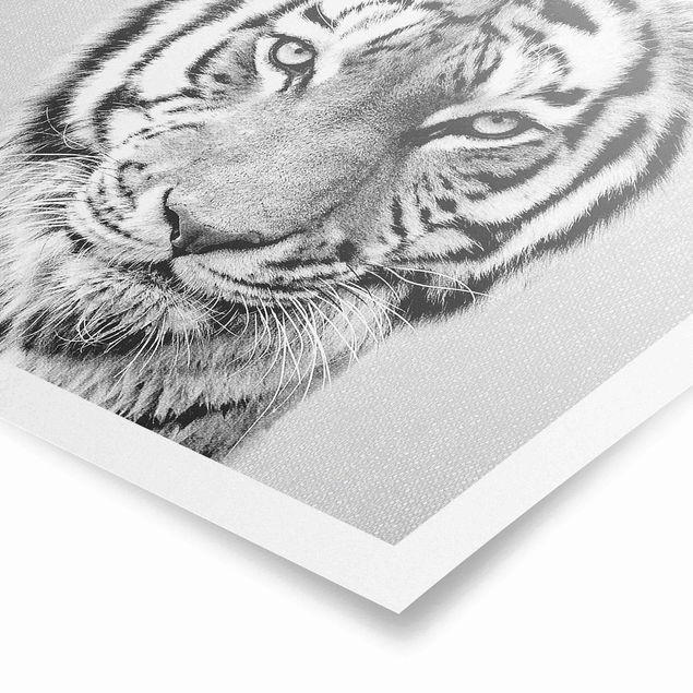 Obraz z tygrysem Tiger Tiago Black And White