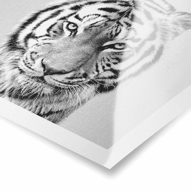 Czarno białe obrazki Tiger Tiago Black And White
