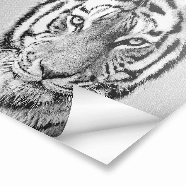 Plakaty czarno białe Tiger Tiago Black And White