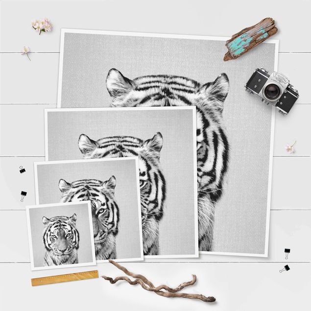 Obrazy na ścianę Tiger Tiago Black And White
