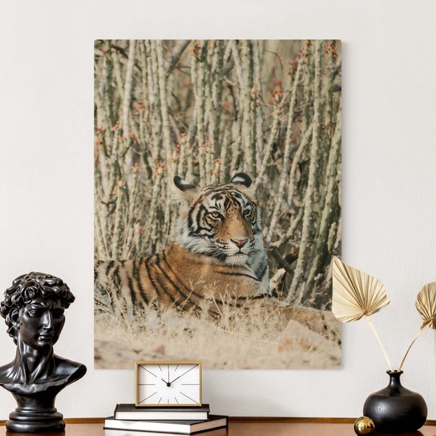 Obrazy do salonu Tygrys na tle kaktusów