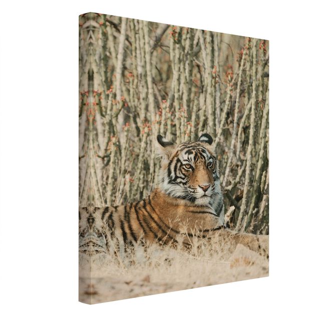 Obrazy na płótnie zwierzęta Tygrys na tle kaktusów