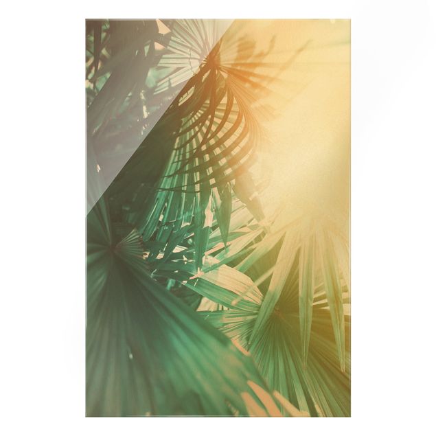 Obrazy do salonu Rośliny tropikalne Palmy o zachodzie słońca