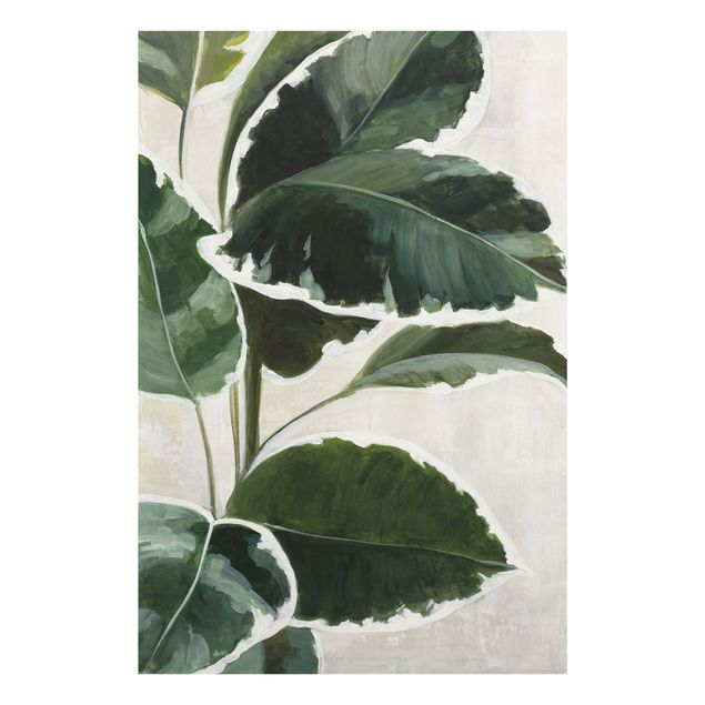 Obrazy Tropical Plant Study
