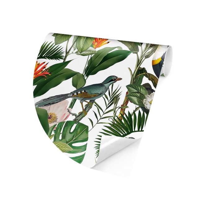 Fototapety kwiaty Tropikalny tukan z Monstera i liśćmi palmy