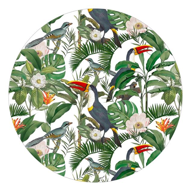 Andrea Haase obrazy  Tropikalny tukan z Monstera i liśćmi palmy