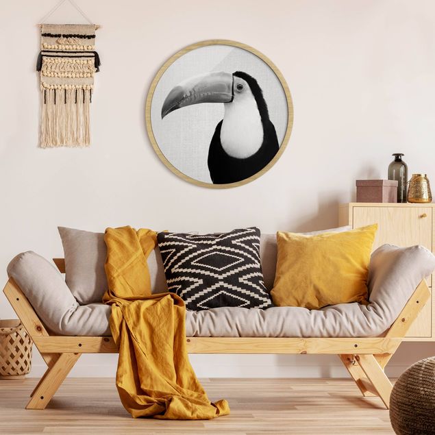 Obrazy w ramie zwierzęta Toucan Torben czarno-biały