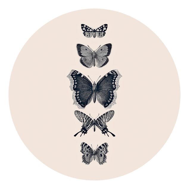 Fototapety Motyle z atramentu na beżowym tle