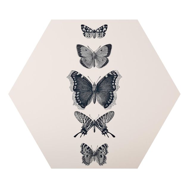 Obrazy zwierzęta Motyle z atramentu na beżowym tle