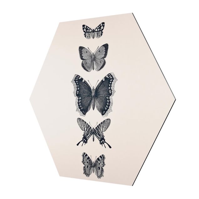 Szary obraz Motyle z atramentu na beżowym tle